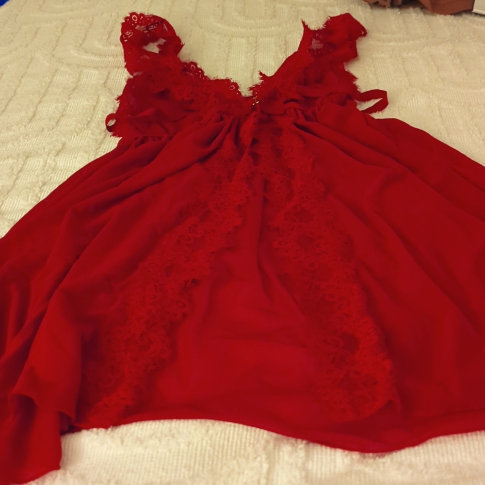 Red Teddy - Picture 2 of 3